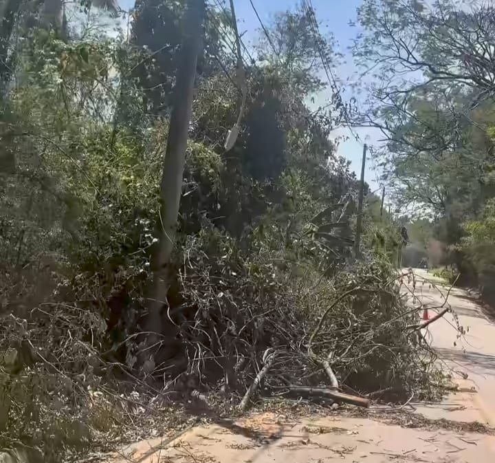 Dois dias após tempestade, via continua obstruída por árvore no Guacuri